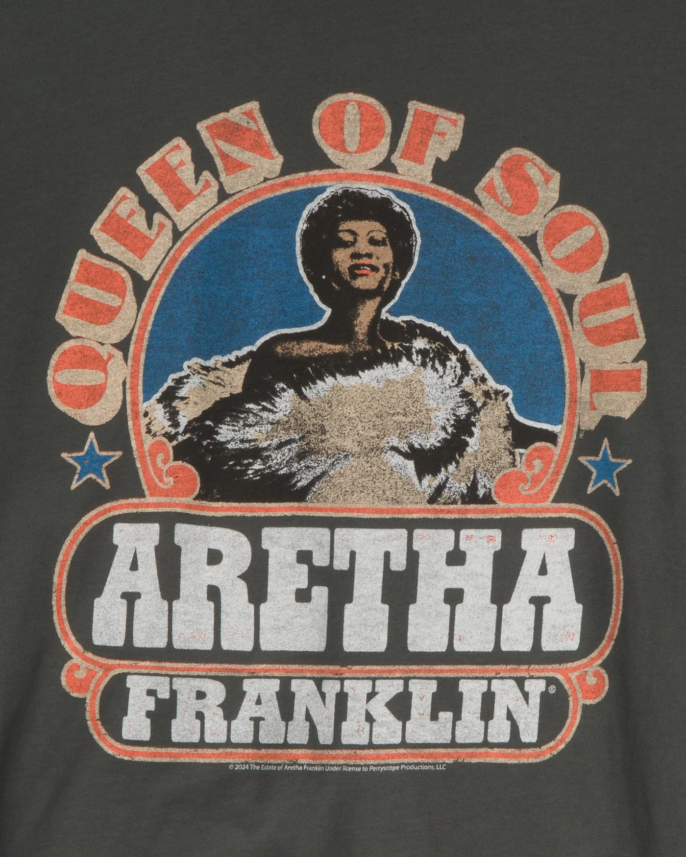 Aretha Franklin Queen of Soul Oversized Tee - Image 4
