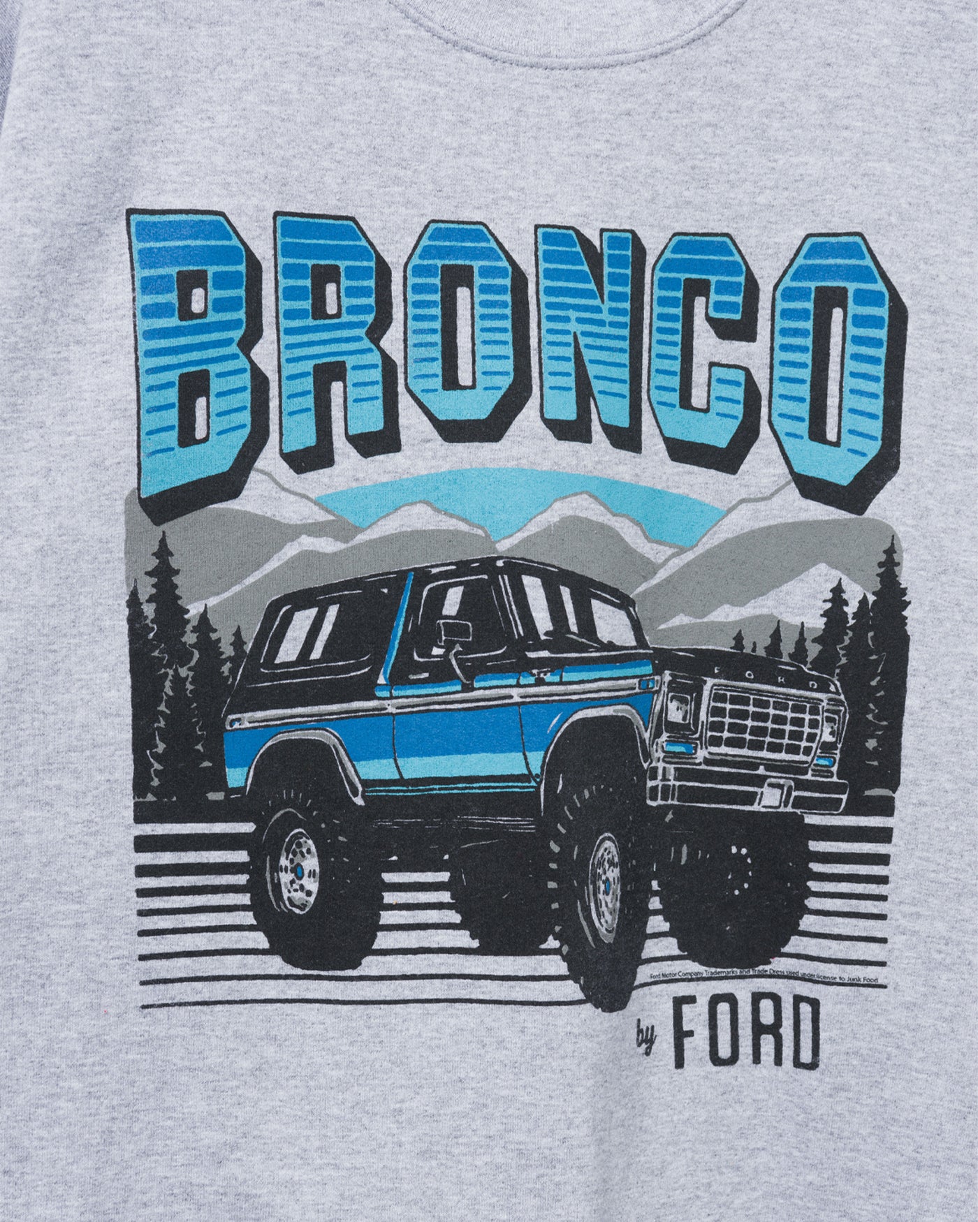 Bronco By Ford Flea Market Fleece - Image 5