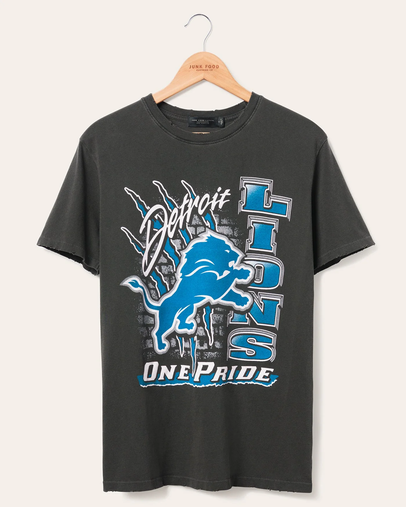 Detroit Lions One Pride Vintage Tee