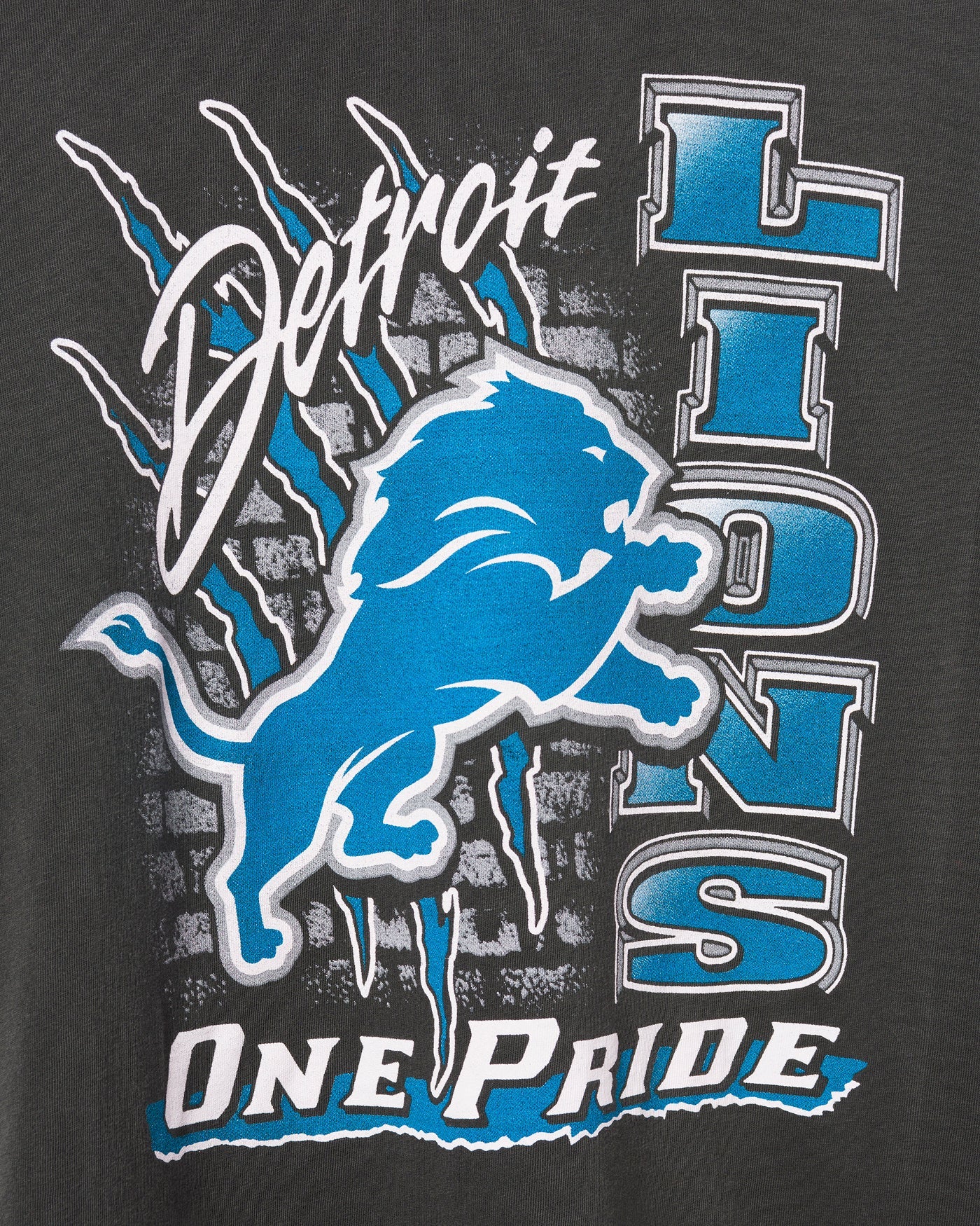 Detroit Lions One Pride Vintage Tee - Image 3