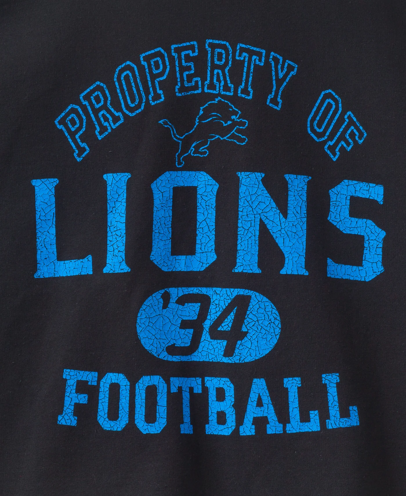 Detroit Lions Property Flea Market Crew Fleece - Image 5
