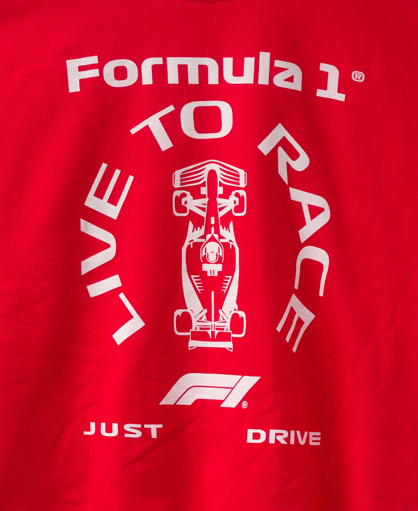 F1 Live to Race Flea Market Fleece - Image 3