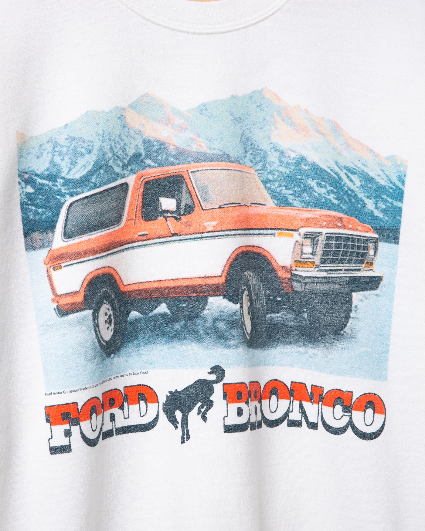 Ford Bronco Flea Market Fleece - Image 3
