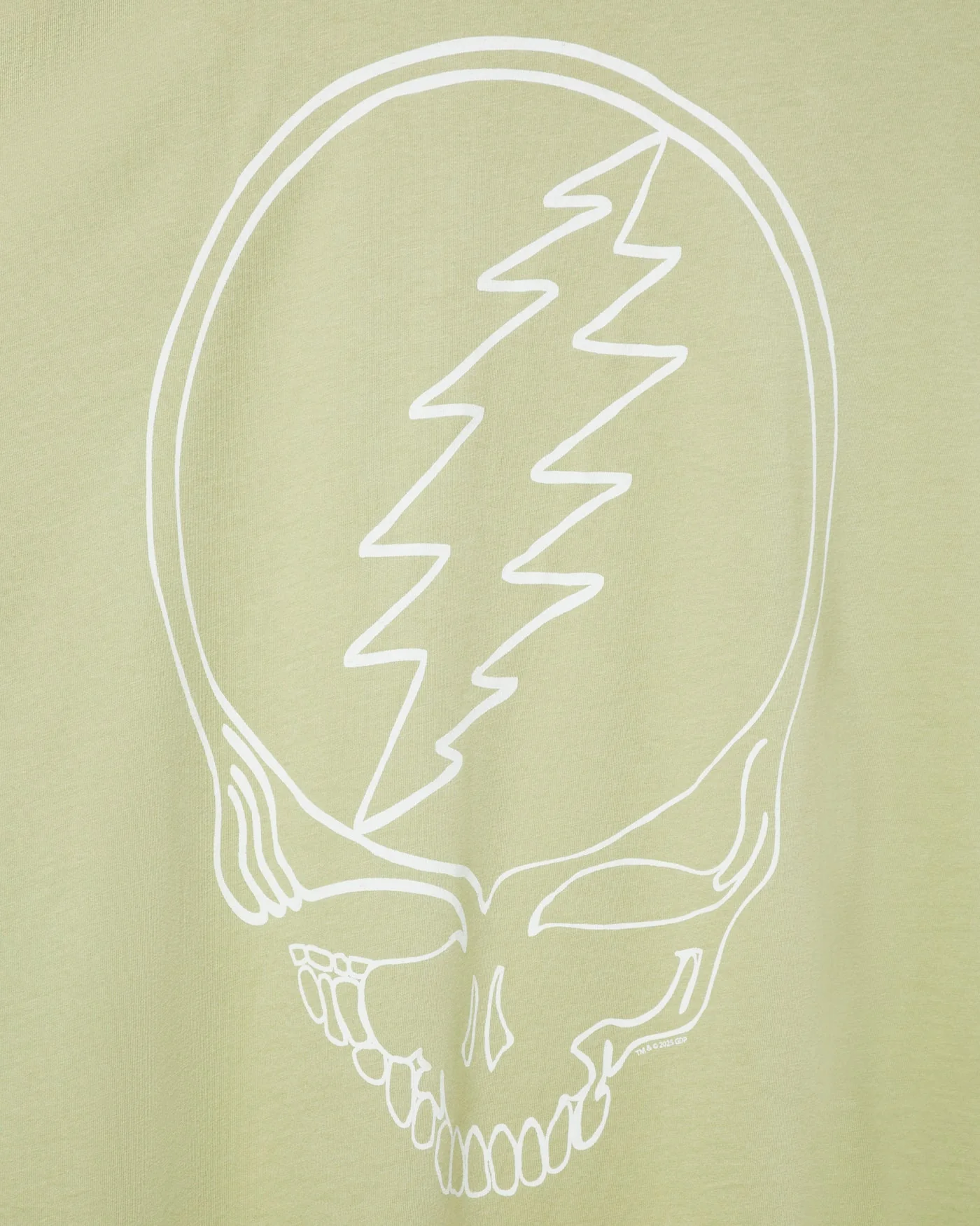 Grateful Dead Skull Oversized Tee - Image 3
