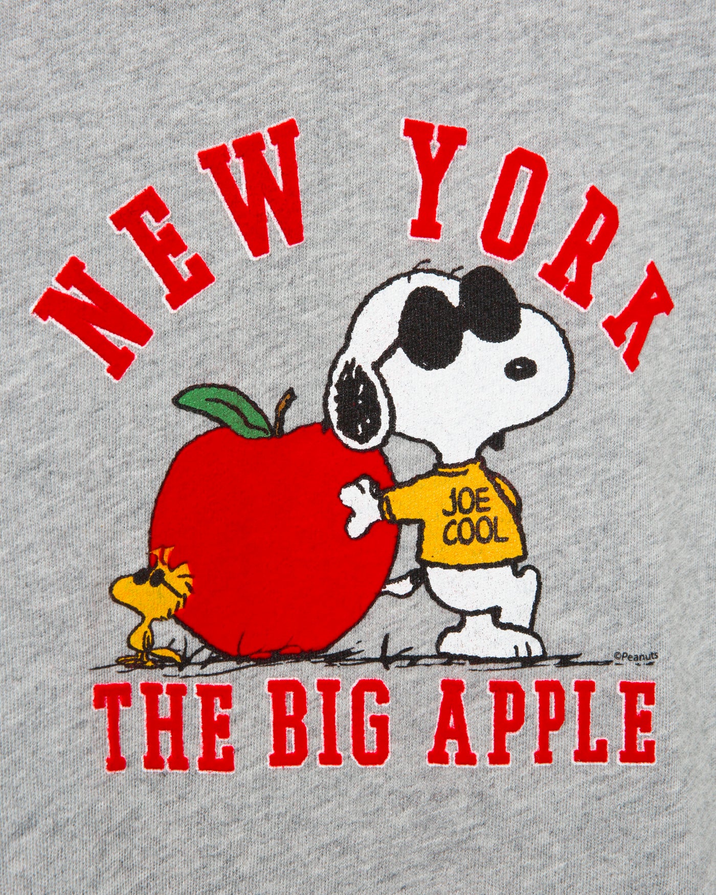 Kids Snoopy the Big Apple Tee - Image 3