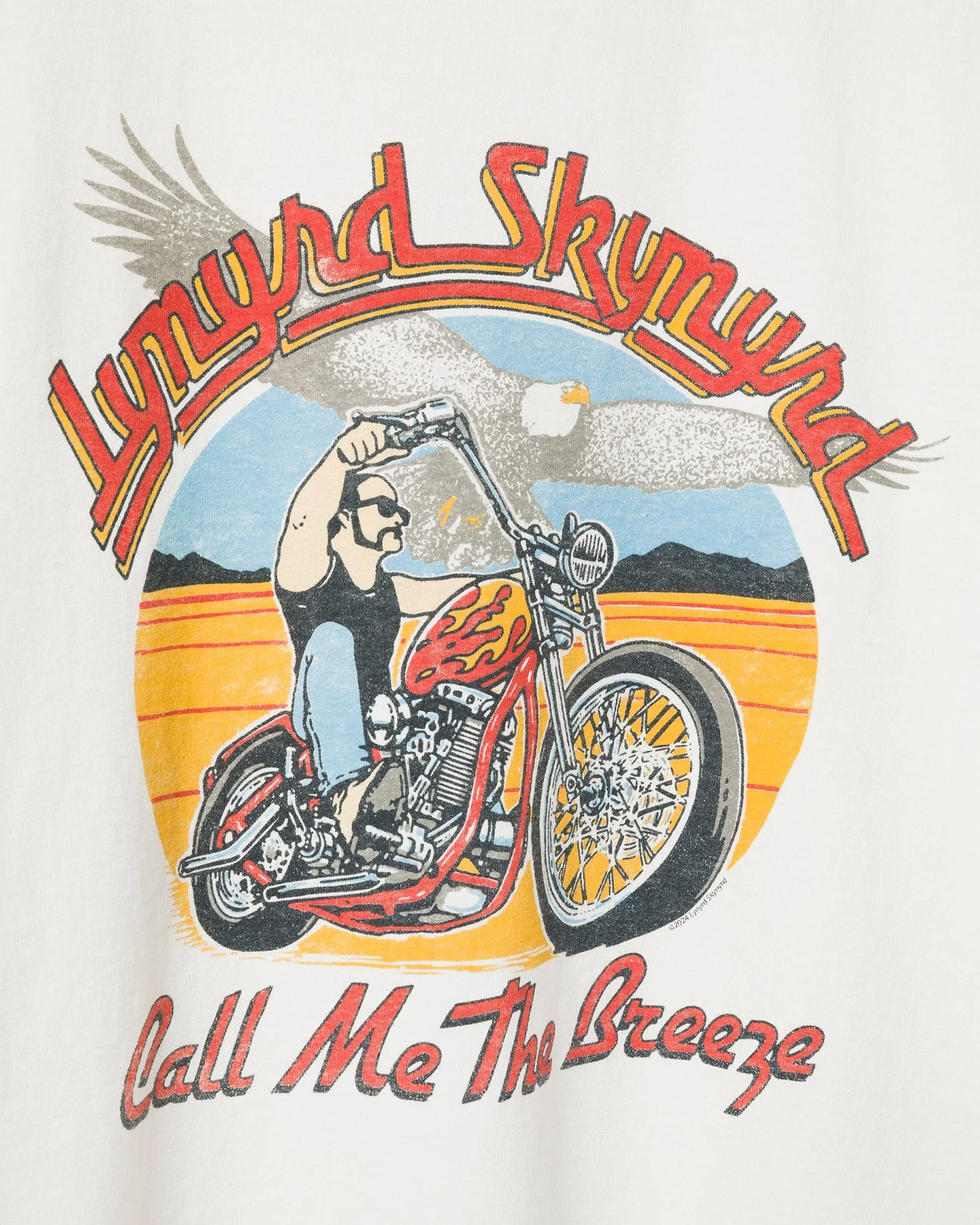 Lynyrd Skynyrd Call Me the Breeze Flea Market Tee - Image 5