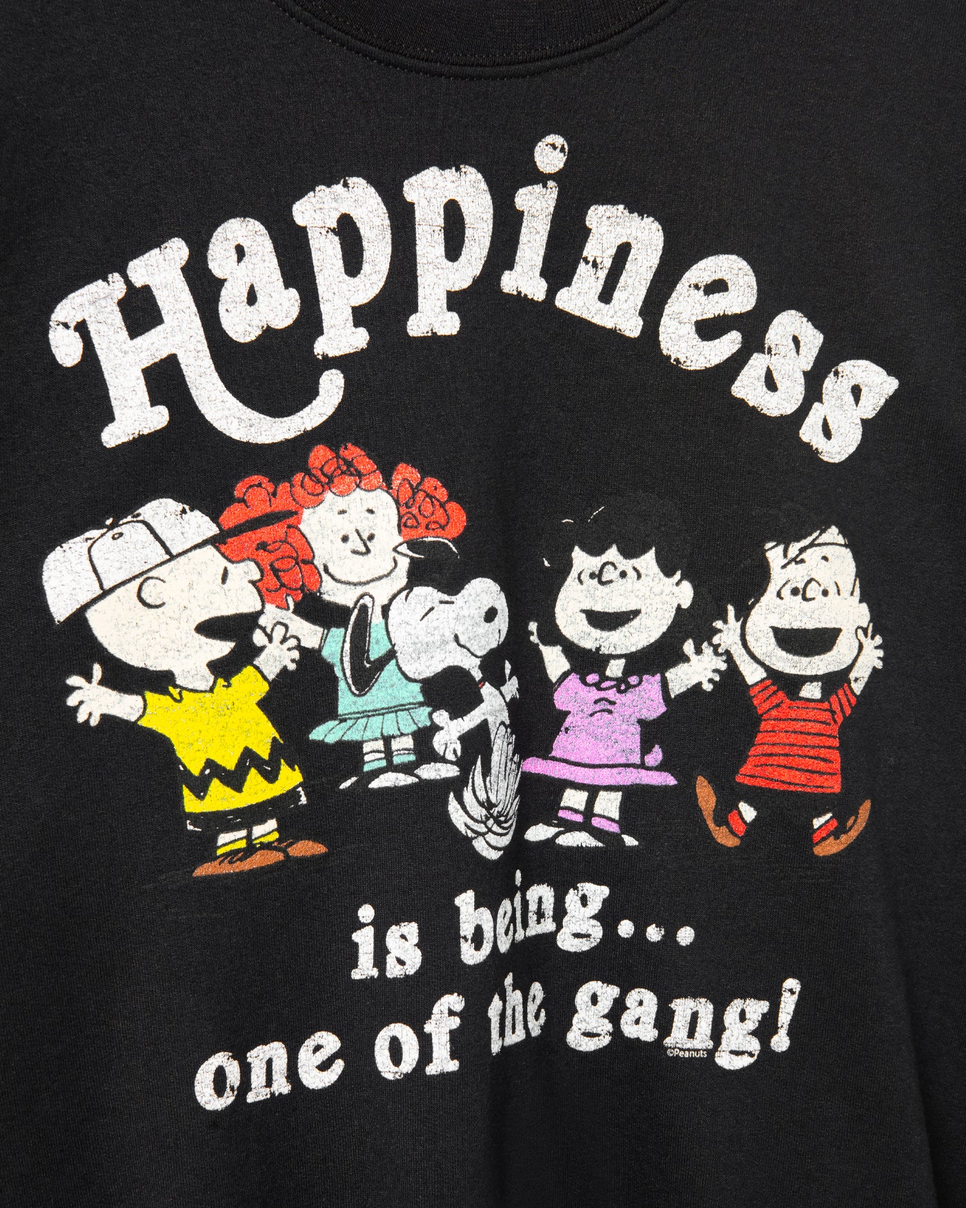 Peanuts One Of The Gang Flea Market Fleece - Image 3