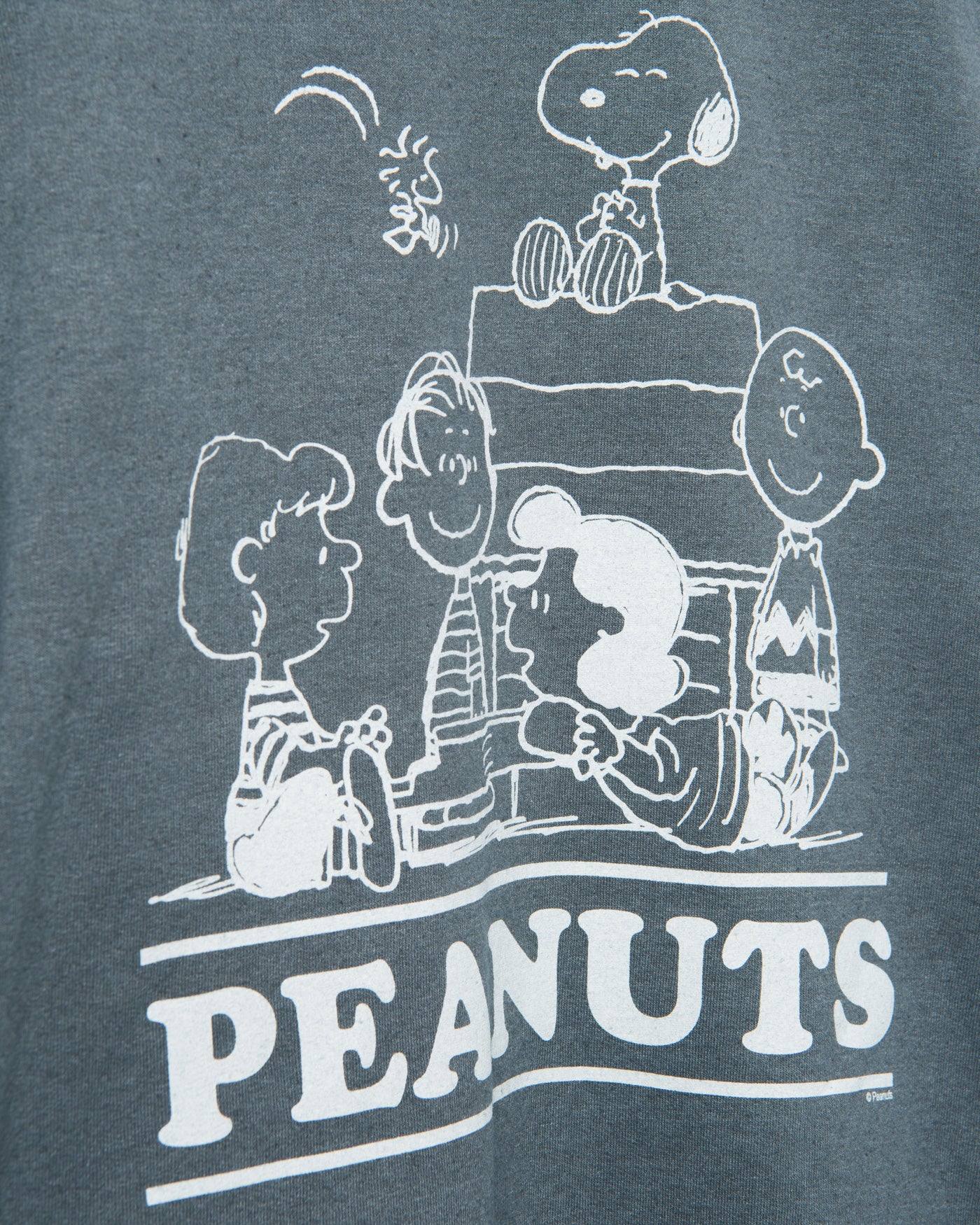 Peanuts The Gang Flea Market Fleece - Image 5