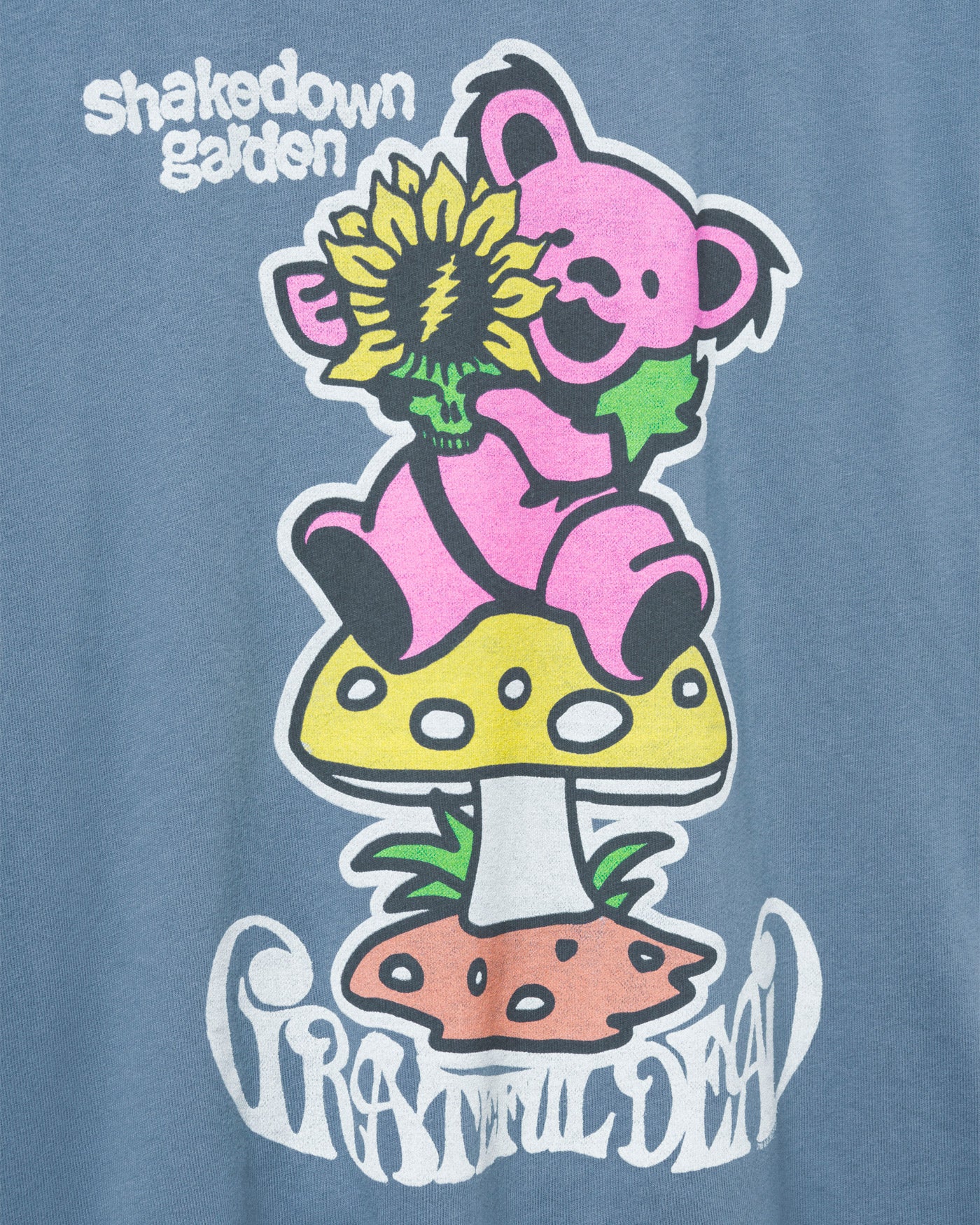 Women's Grateful Dead Shakedown Garden Vintage Tee - Image 3