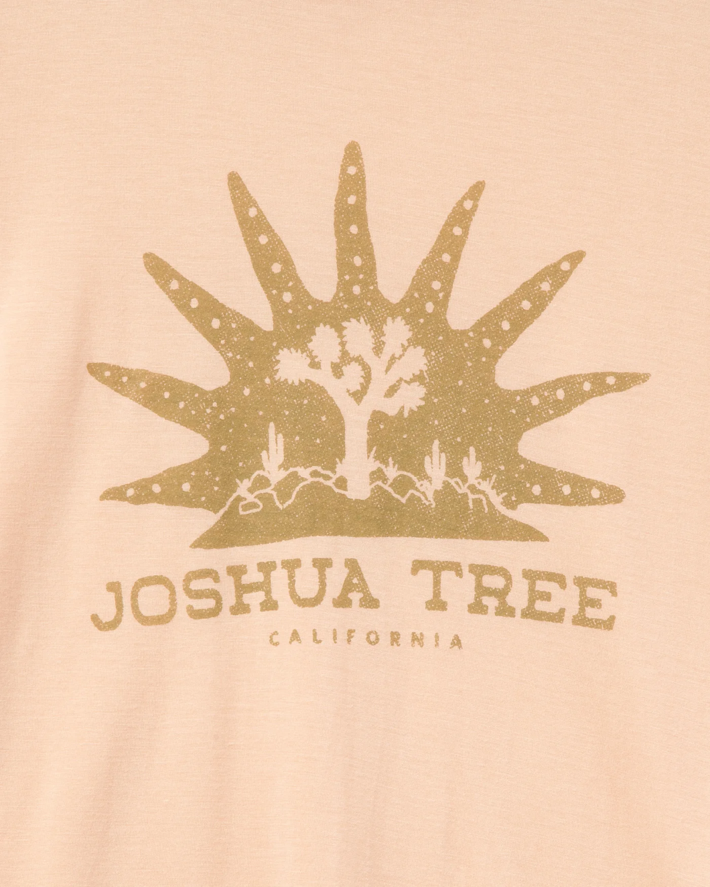 Women's Joshua Tree Vintage Tissue Tank - Image 5