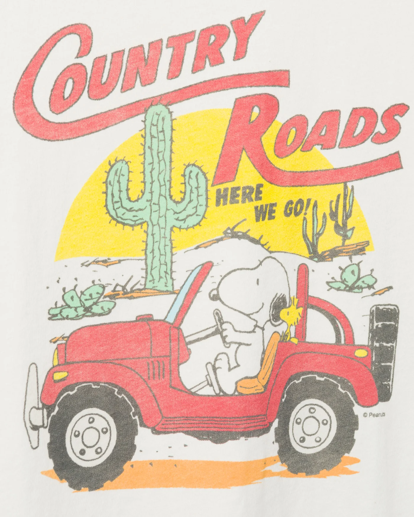 Women's Snoopy Country Road Vintage Tee - Image 4